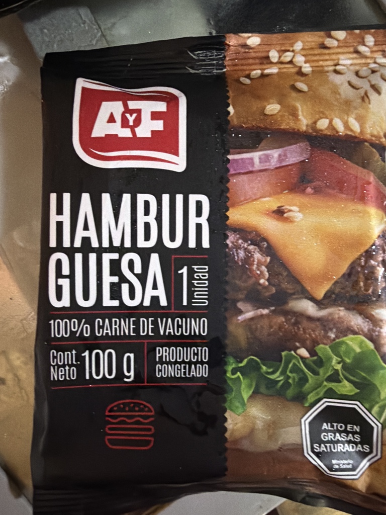 Hamburguesa 100g AYF