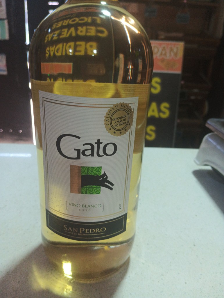 Gato San Pedro blanco