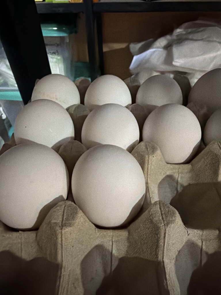 Huevos primera