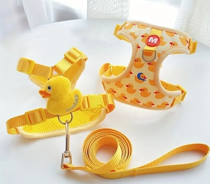 Pechera pato