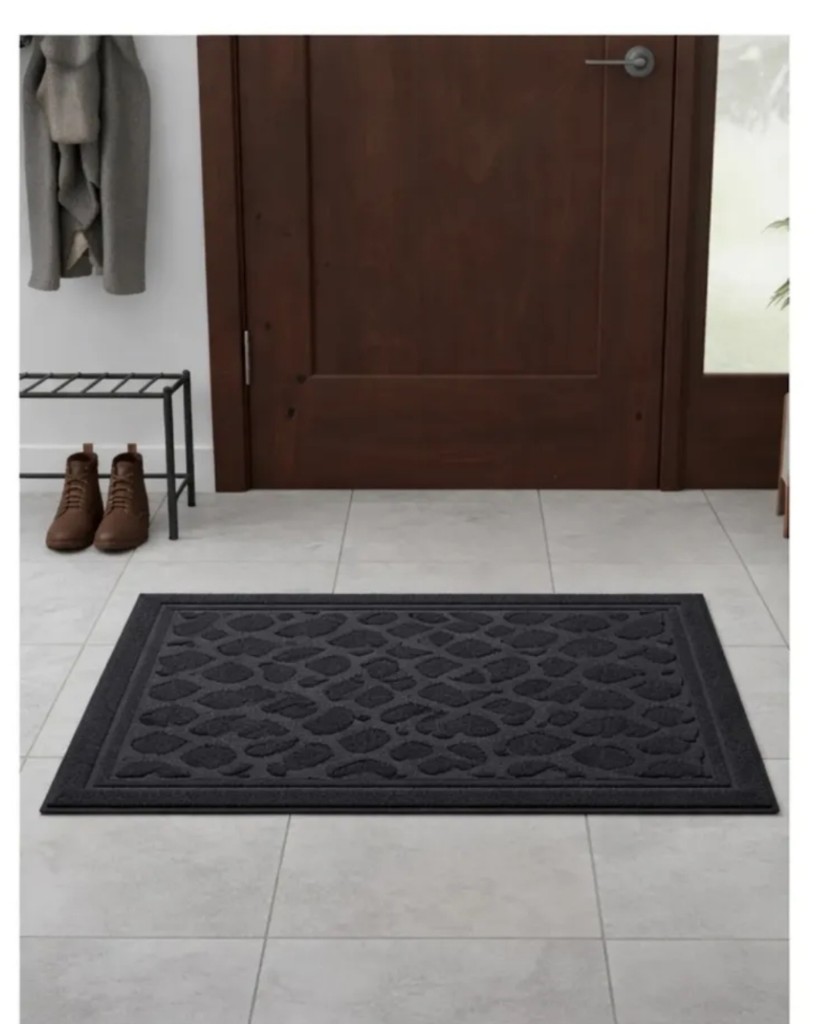 ALFOMBRA ENTRADA