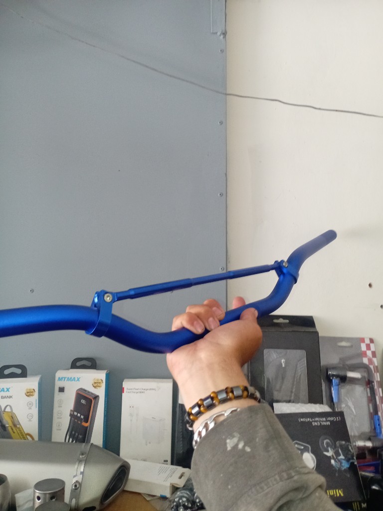 Timon azul