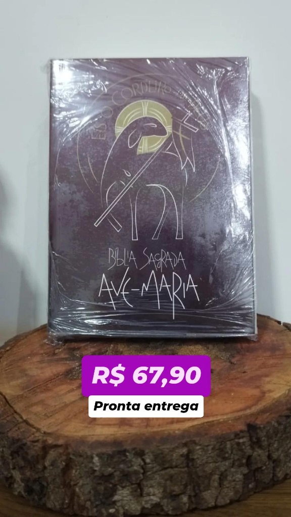 Bíblia Sagrada Ave-Maria
