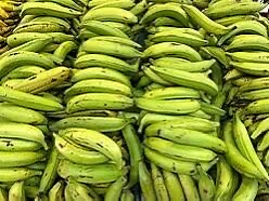 Plátano verde