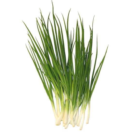 Cebollin