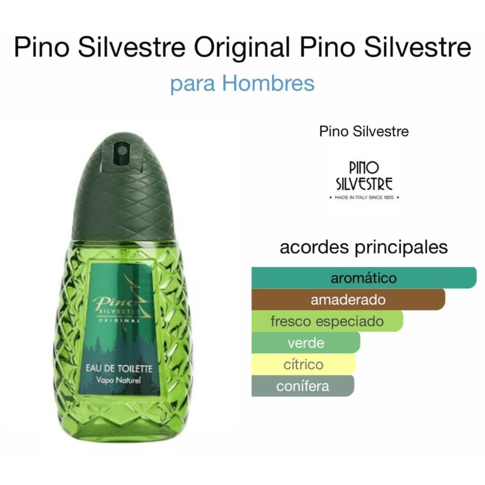 Pino silvestre