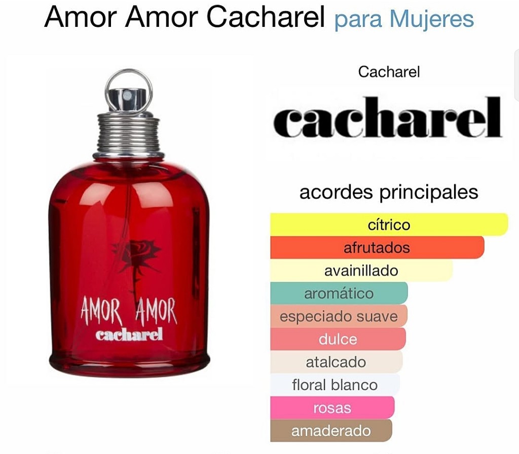 Amor Amor