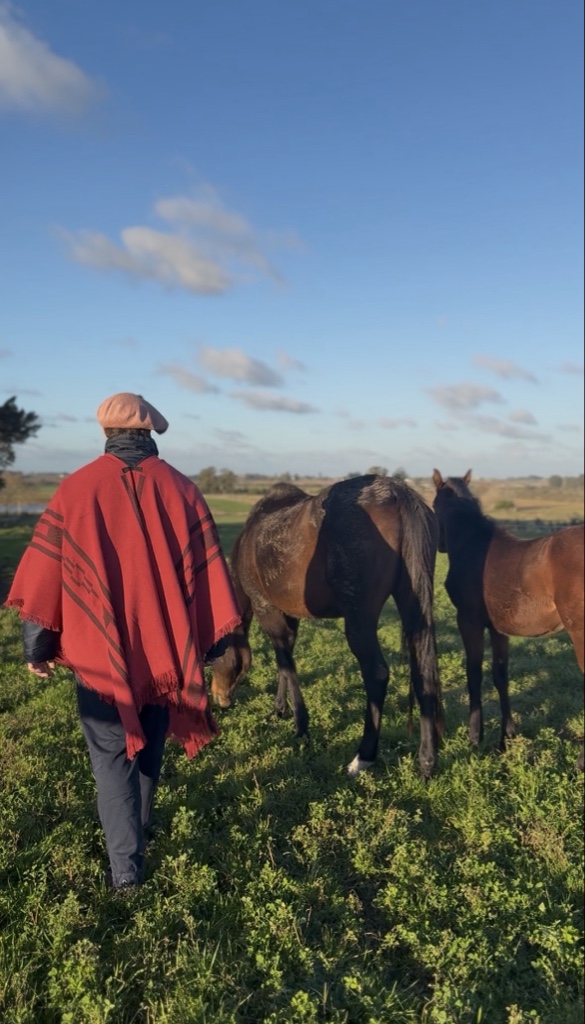 Poncho Pampa Rojo