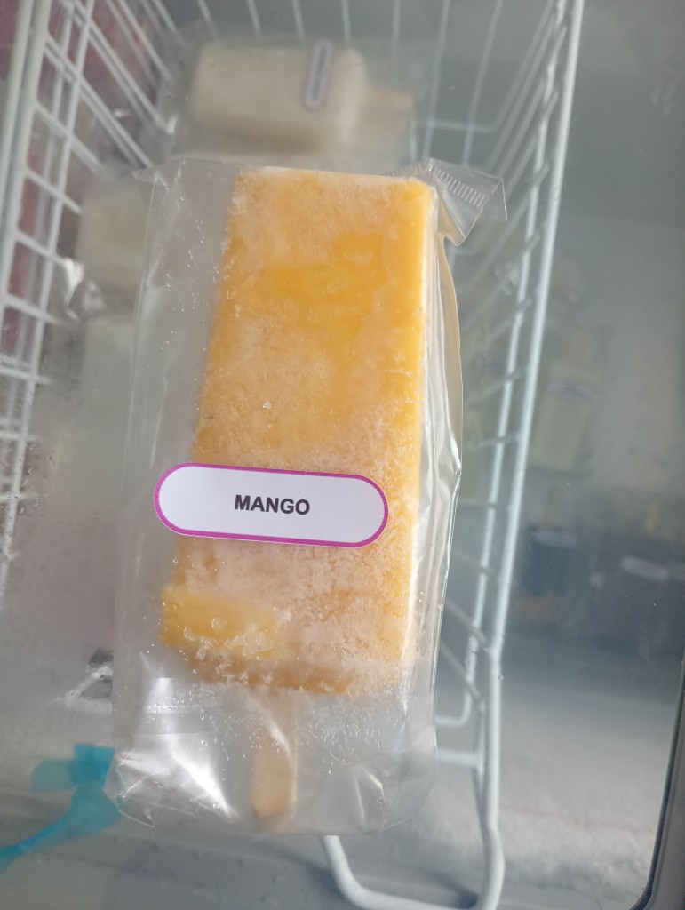 Mango paleta