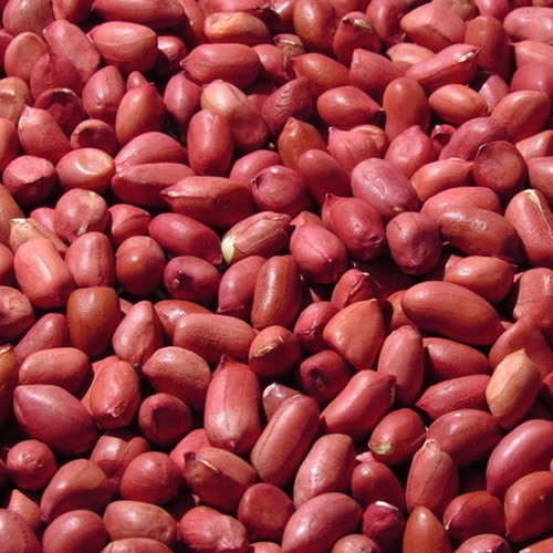 Mani crudo Rojo