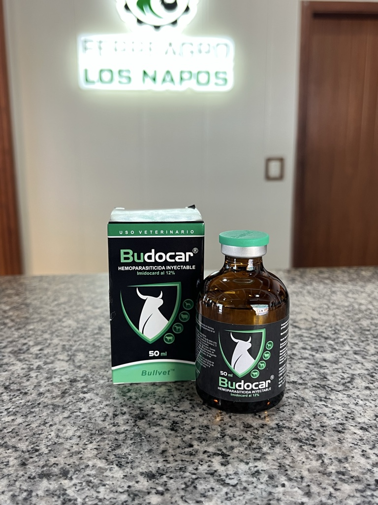 Budocar X 50ml