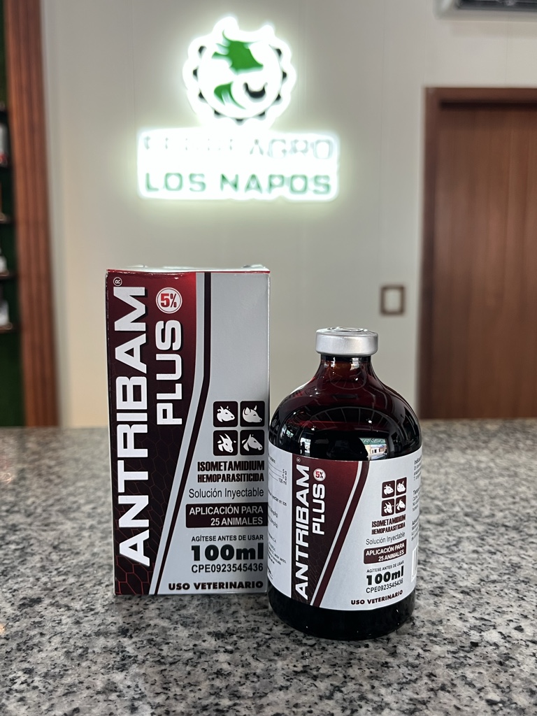 Antribam Plus X 100ml