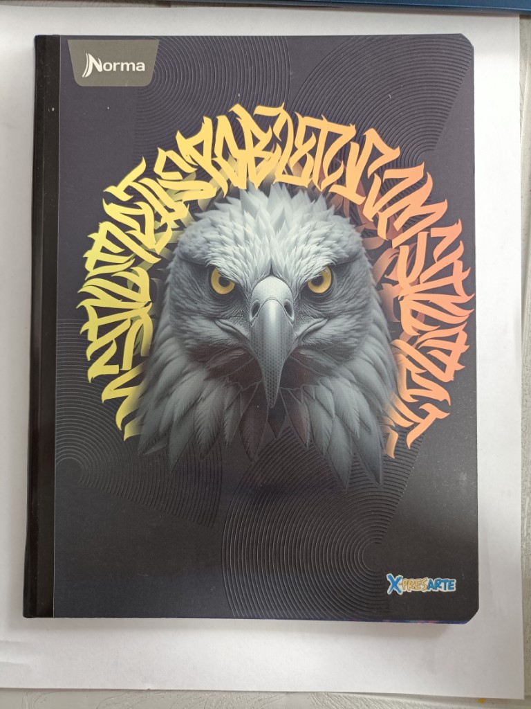Cuaderno Norma X-presarte 50H Cuadri