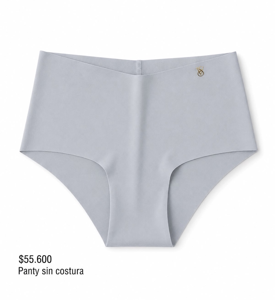 PANTY VS CHEEKY GRIS CLARO INVISIBLE