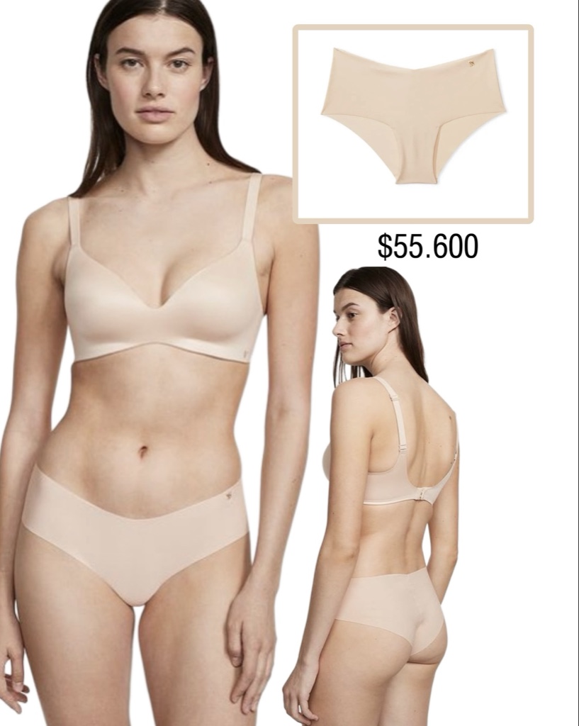 PANTY VS CHEEKY BEIGE INVISBLE