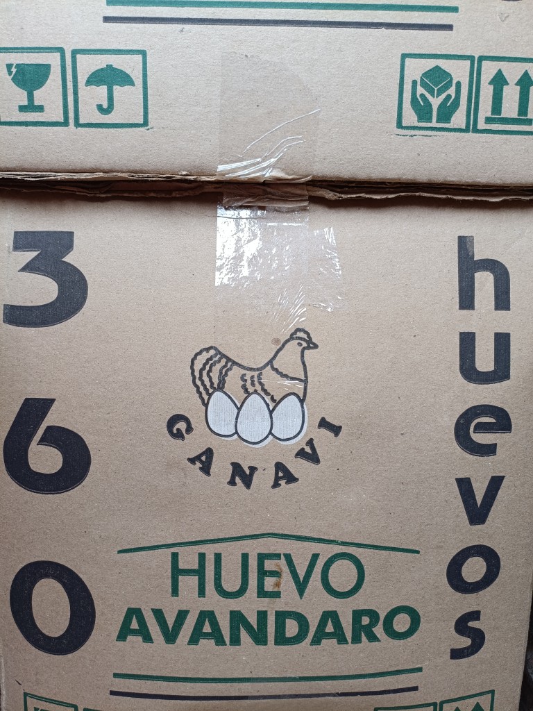 Huevo Avandaro