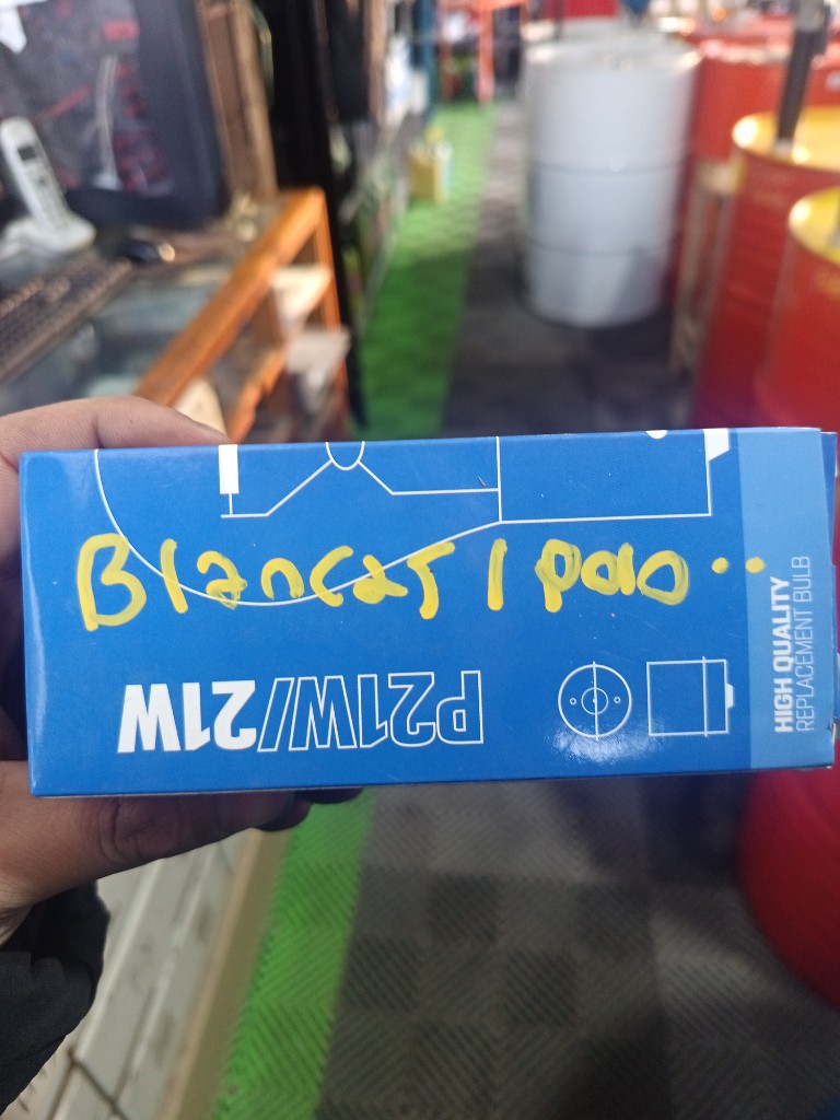 blancas 1 polo iguales (p21w/21w)