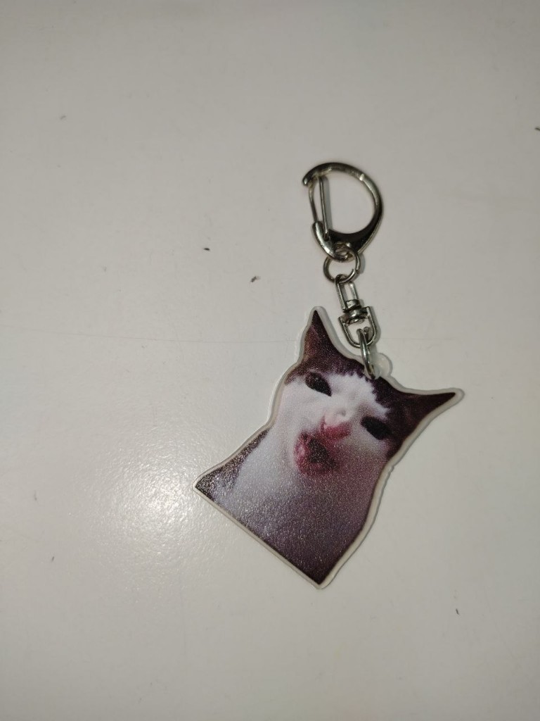 LLAVERO ACRILICO GATO MEME