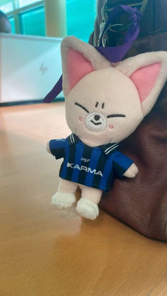 PELUCHE MINI SKZOO KARMA FOXY IN