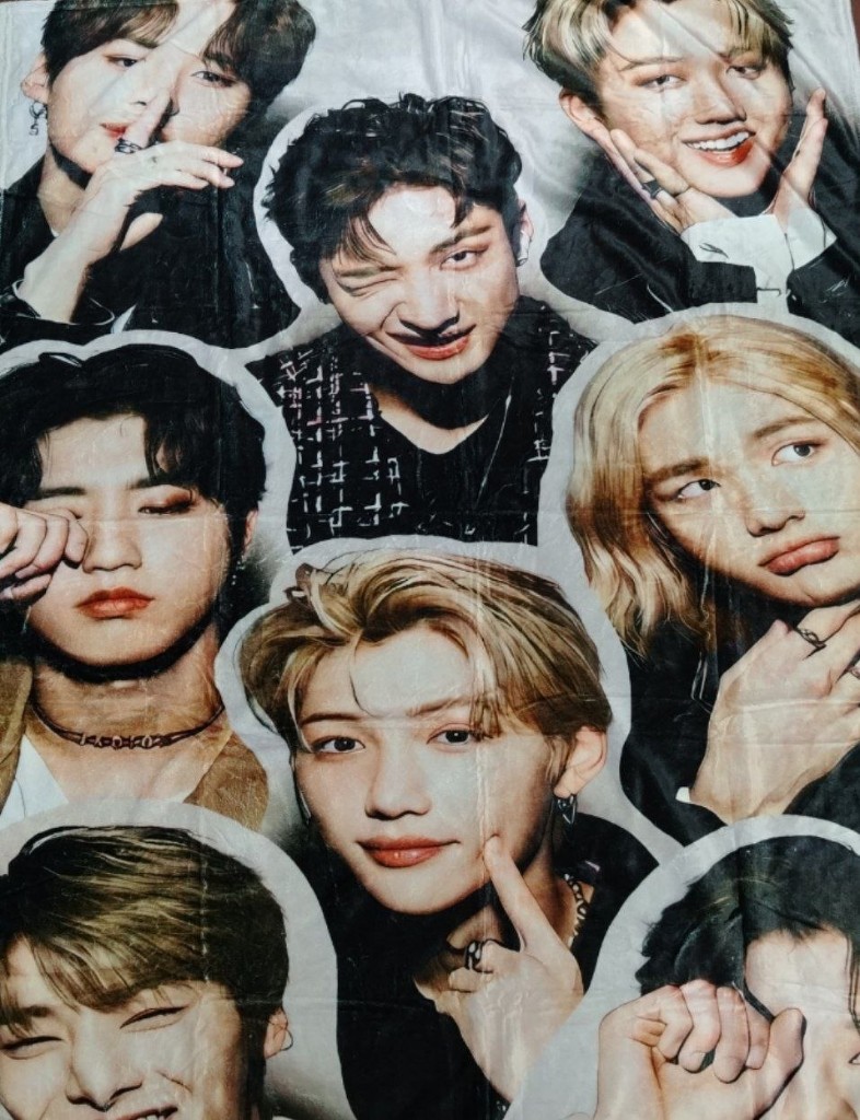 COBIJA STRAY KIDS GRUPAL INDIVIDUAL MARRON