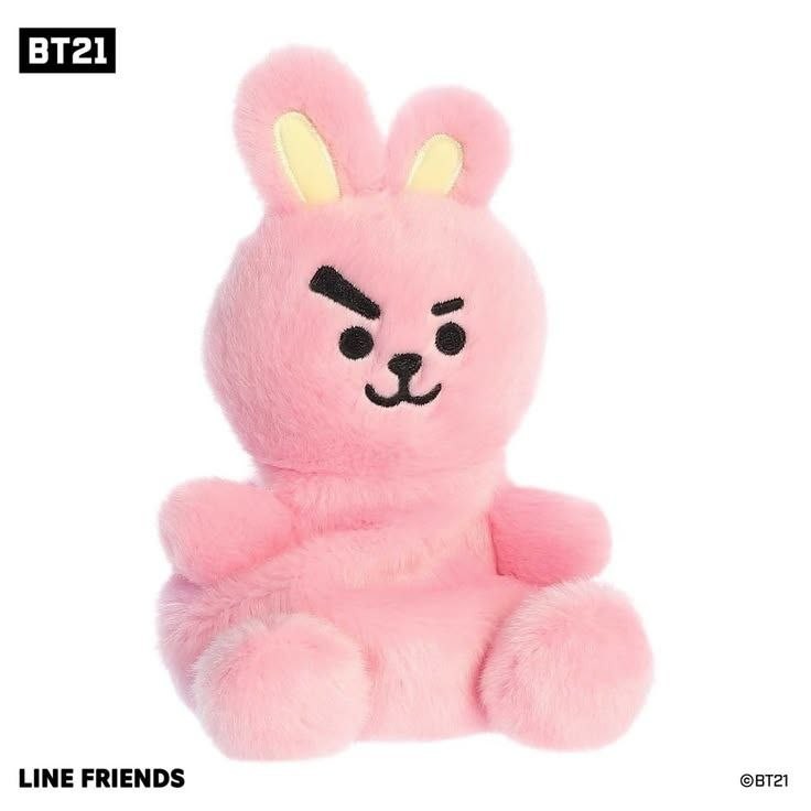 PELUCHE MINI BT21 ANTIESTRES COOKY