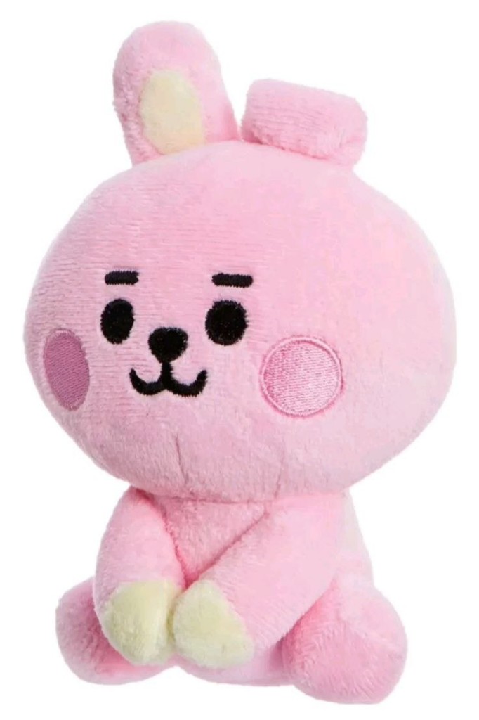 PELUCHE GRANDE  BT21 COOKY