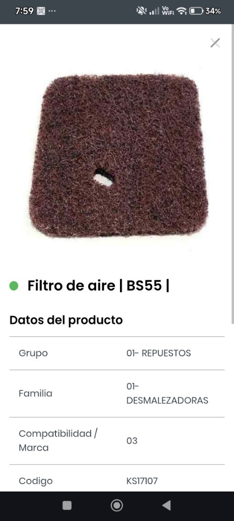 Filtro de aire BS55