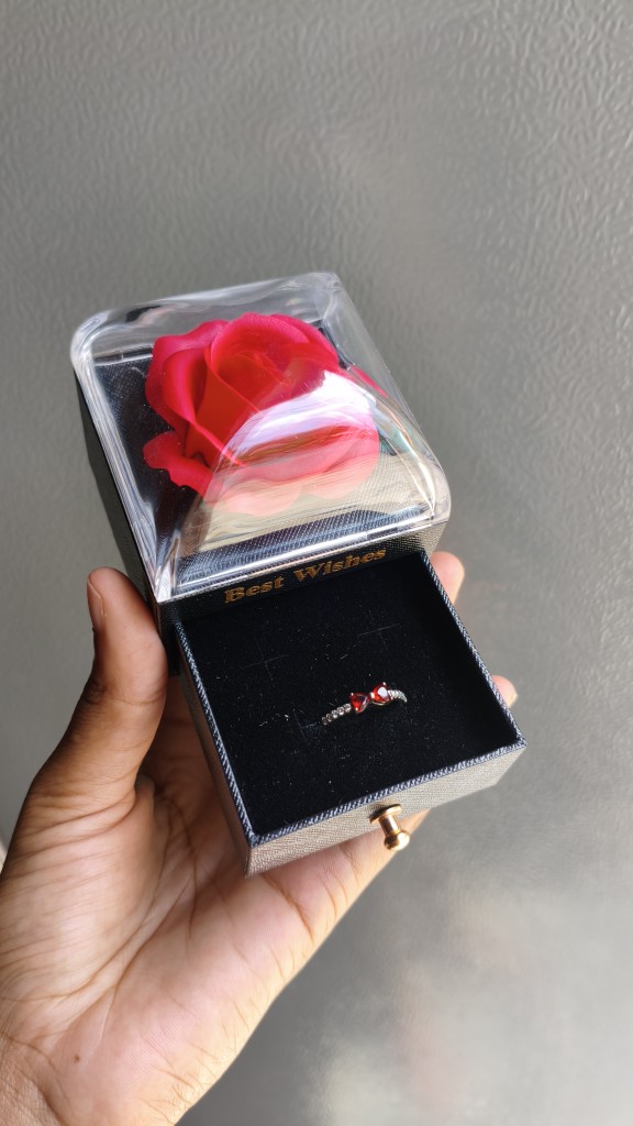 Anillo 💍 Plata 925 | Size 8 + Caja