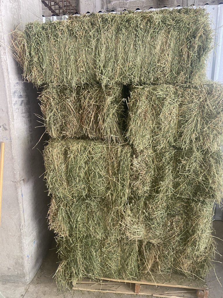 Paca alfalfa 3 hilos Mexicali
