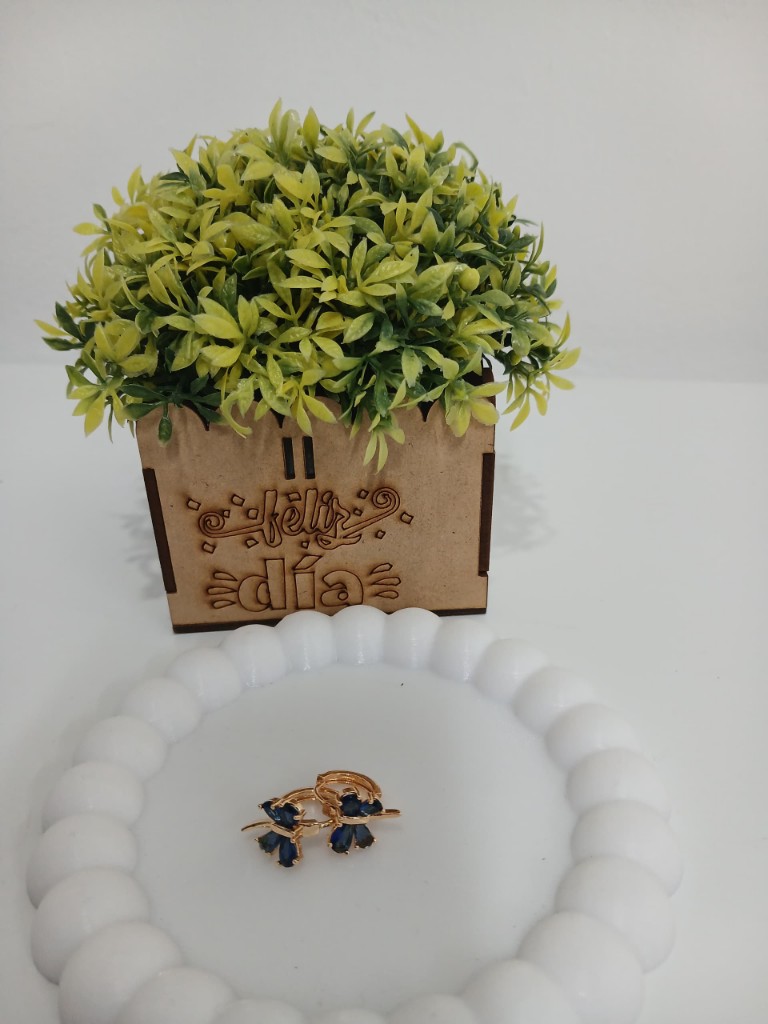 Argollas circon