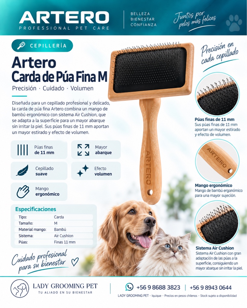 ROMEO /Artero carda pua fina talla M