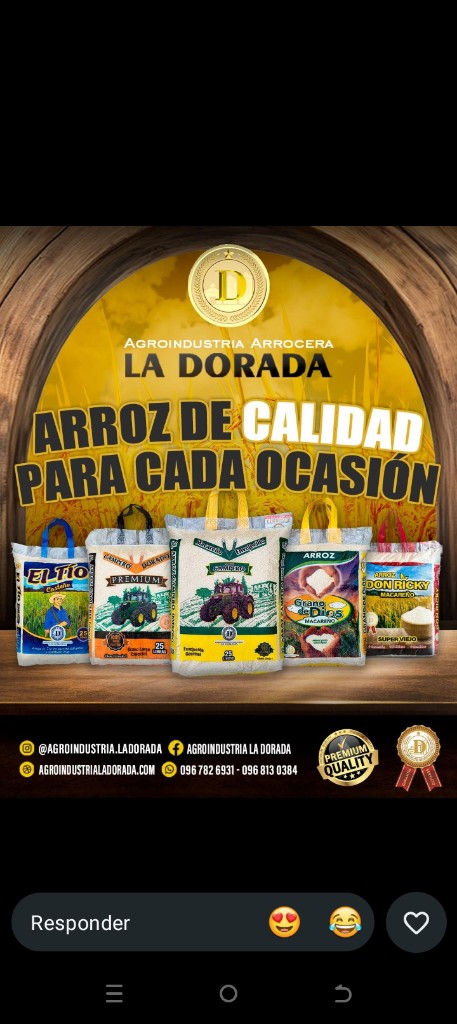 🌾🌾 Arroz  🍚 oso 🐻(25) libras