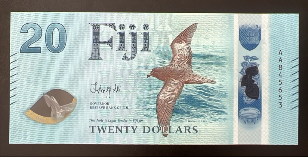 Fiji (polimero)