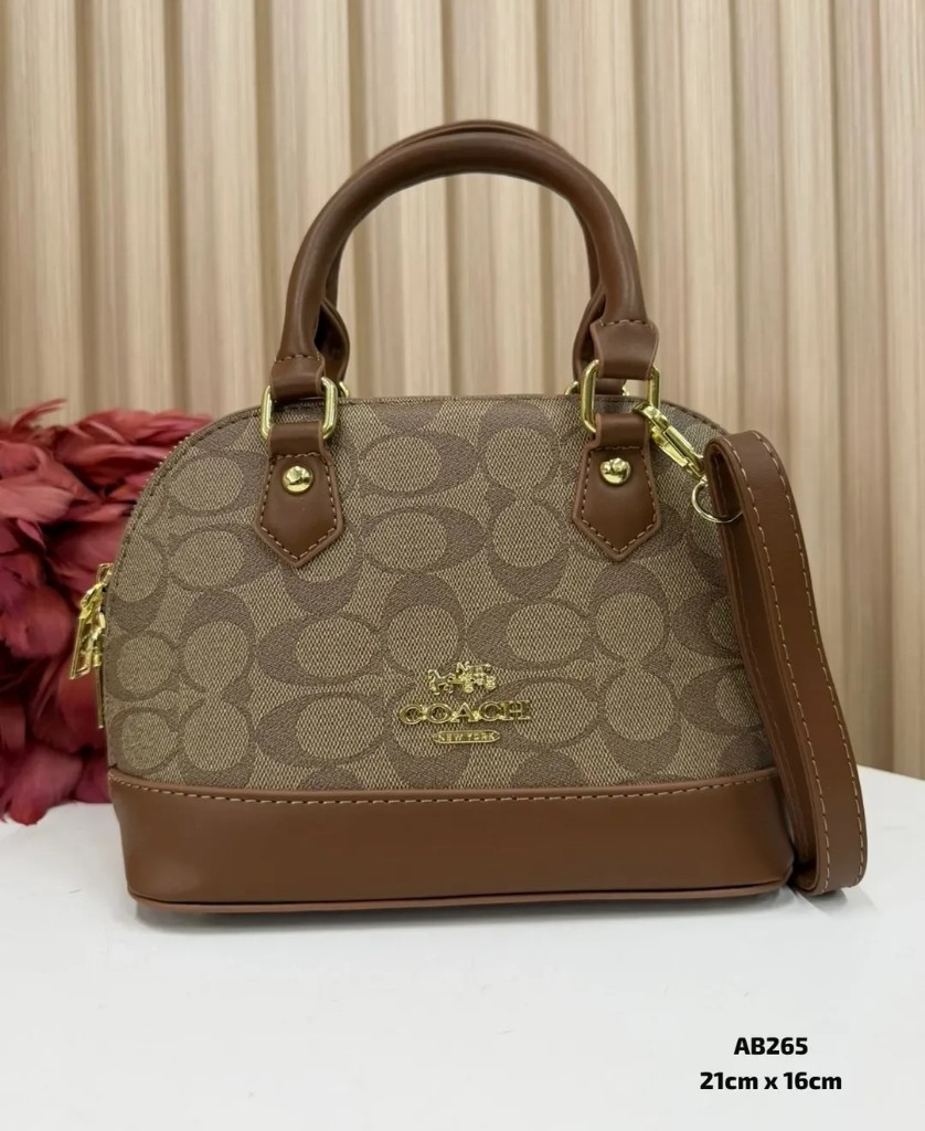Bolso coach
