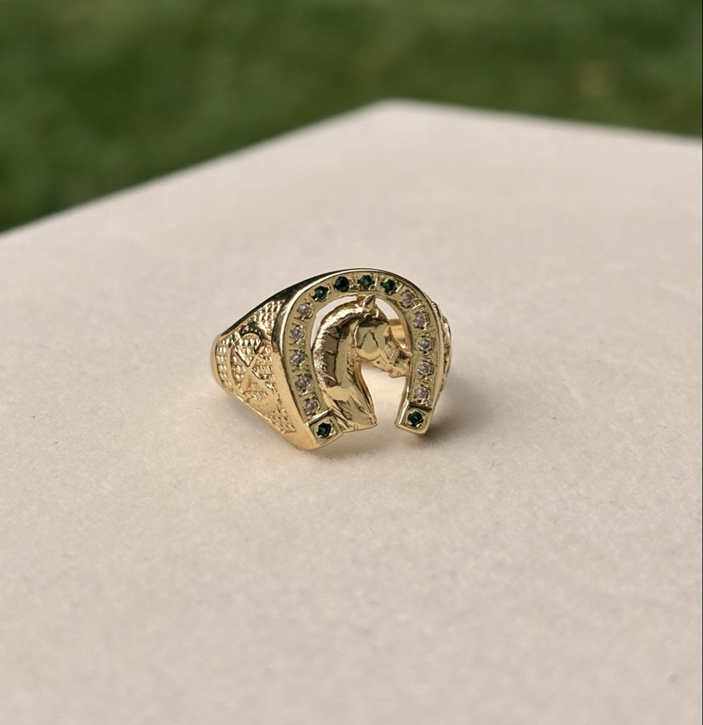 Anillo Equino