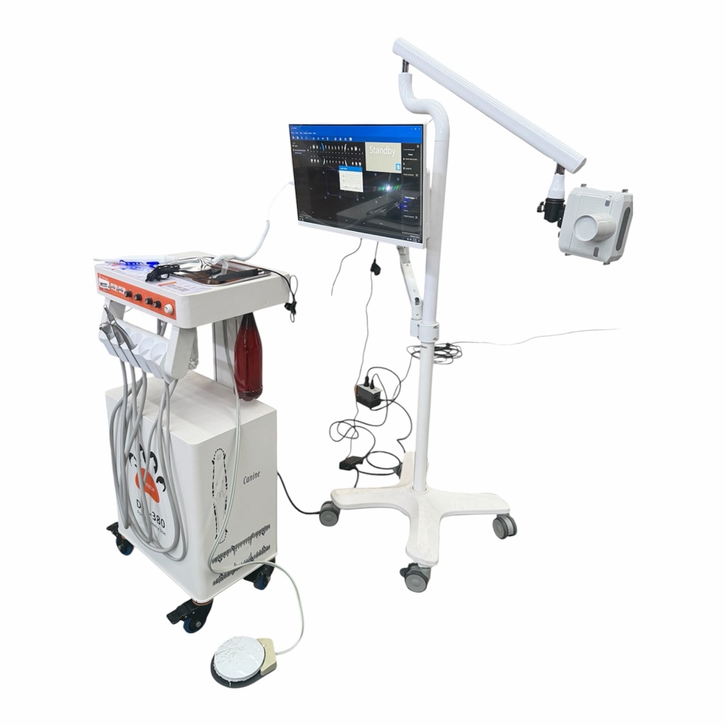 Equipo dental veterinario D250