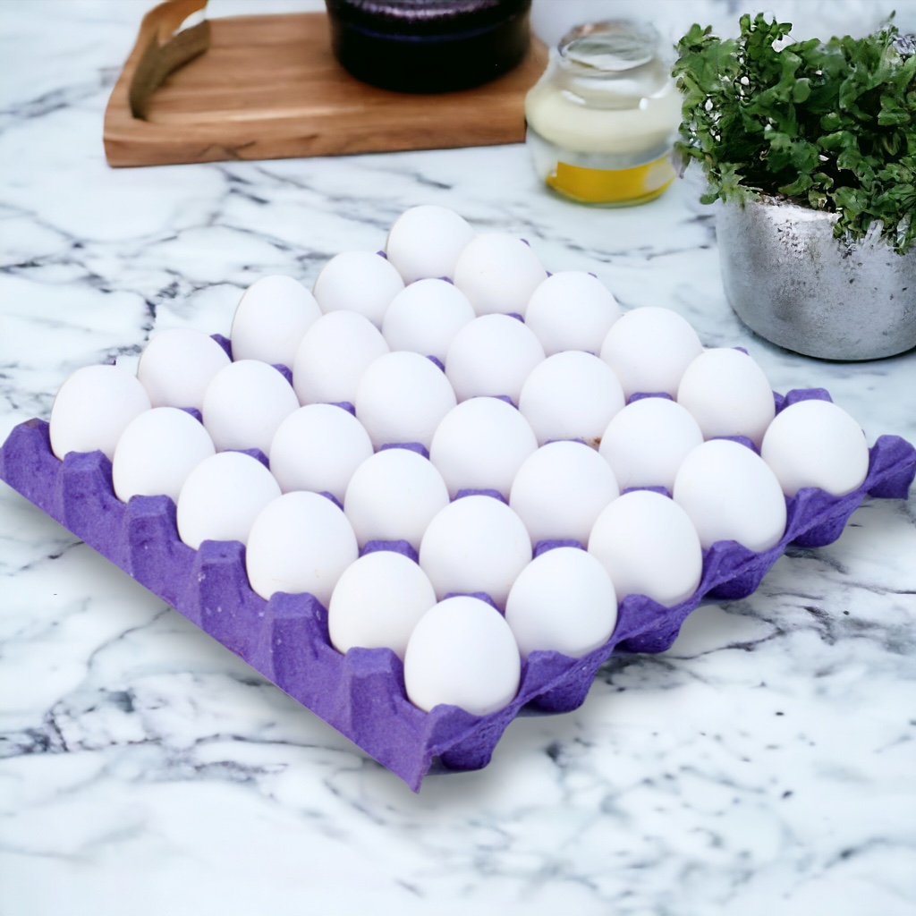 Maple de huevos blancos N°1