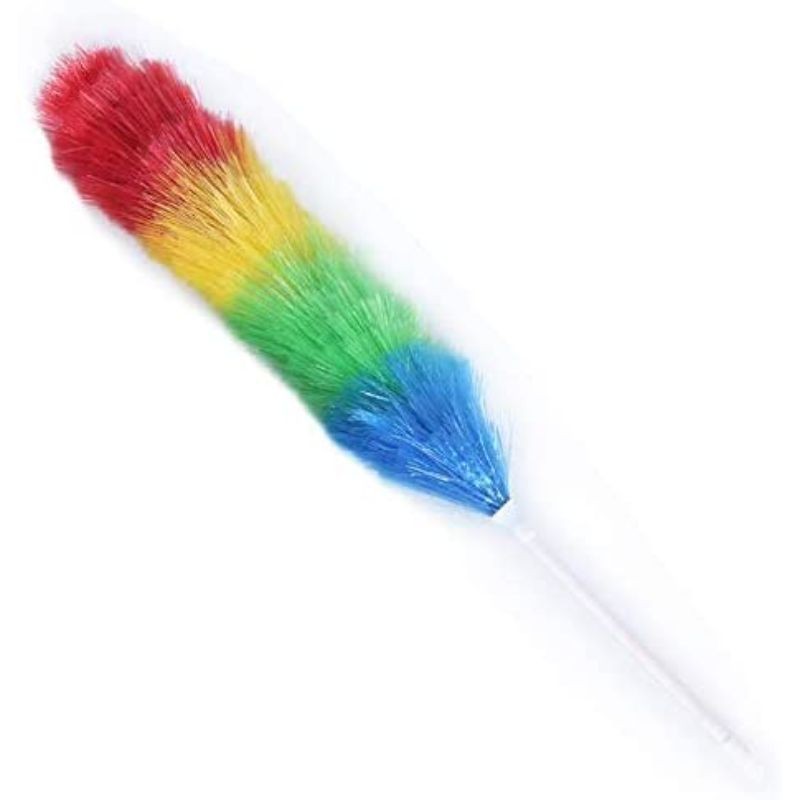 Plumero multicolor