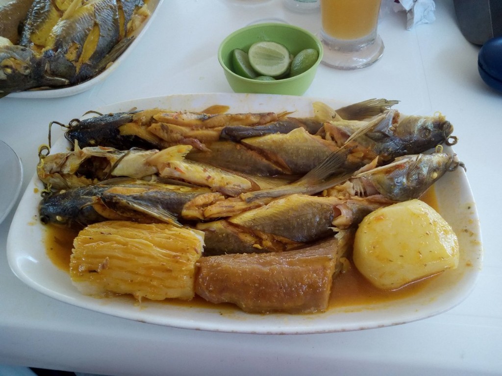 NICURO