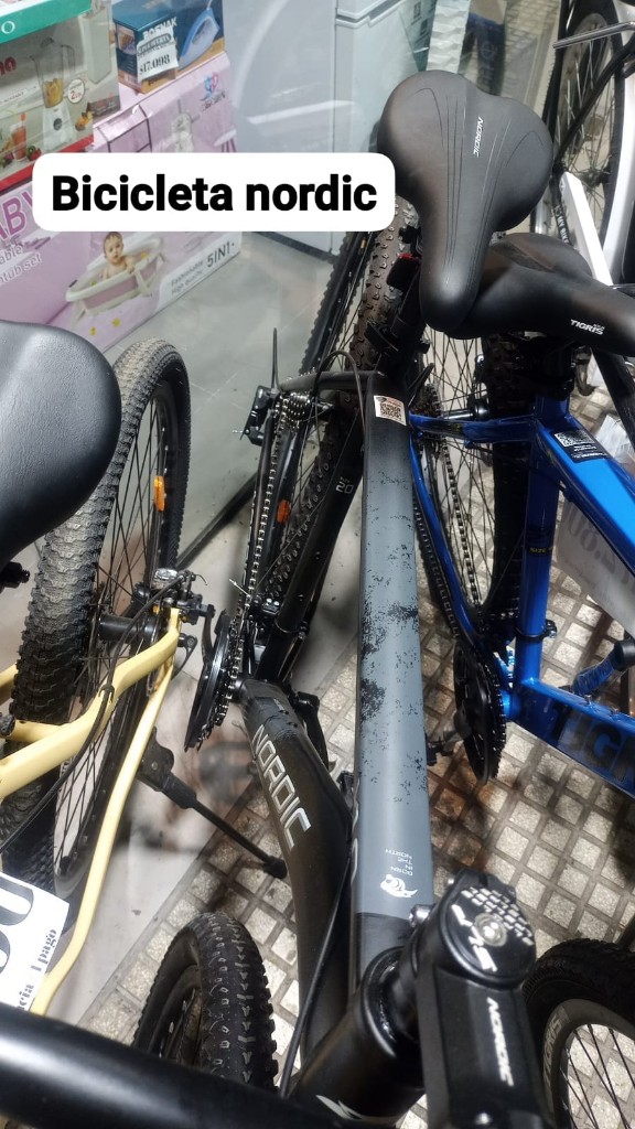 Bicicleta nordic rodado 29