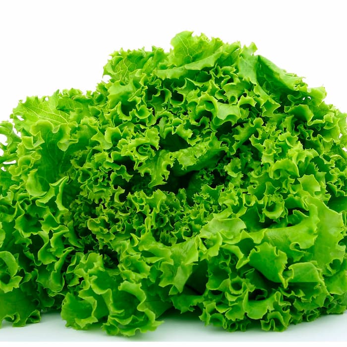 Lechuga china