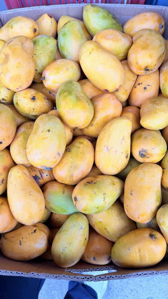 Mango Ataúlfo