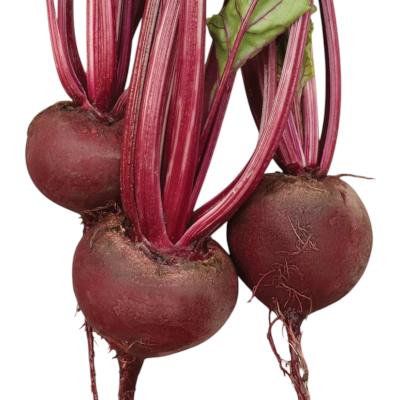Betabel