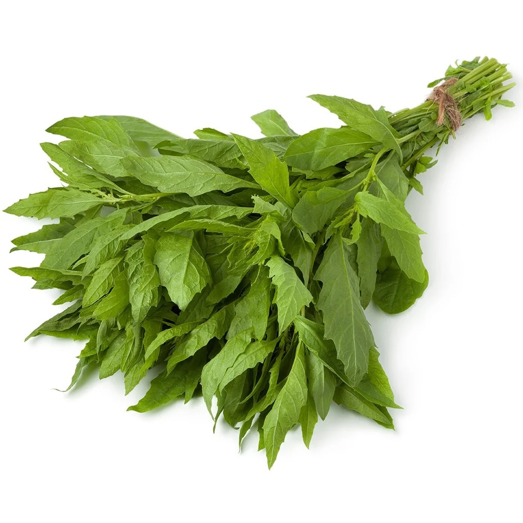 Epazote