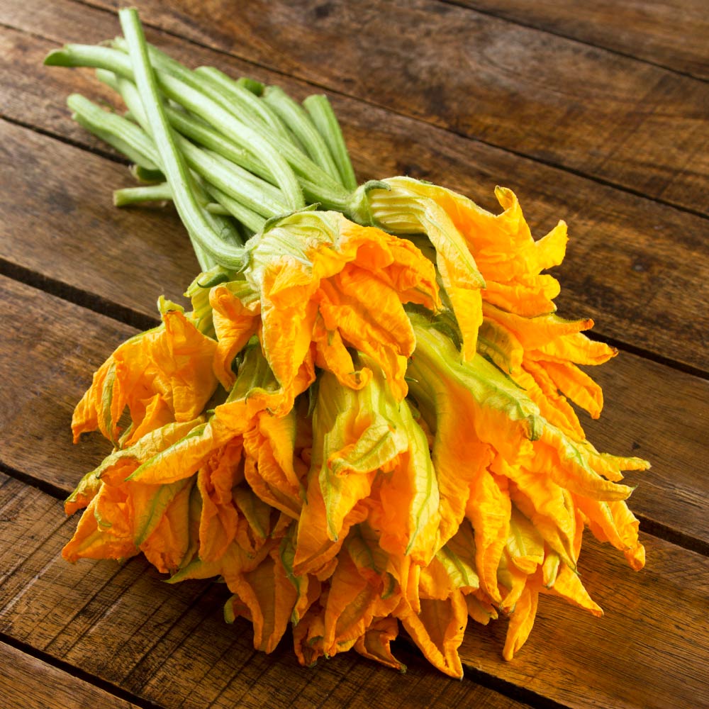 Flor de calabaza