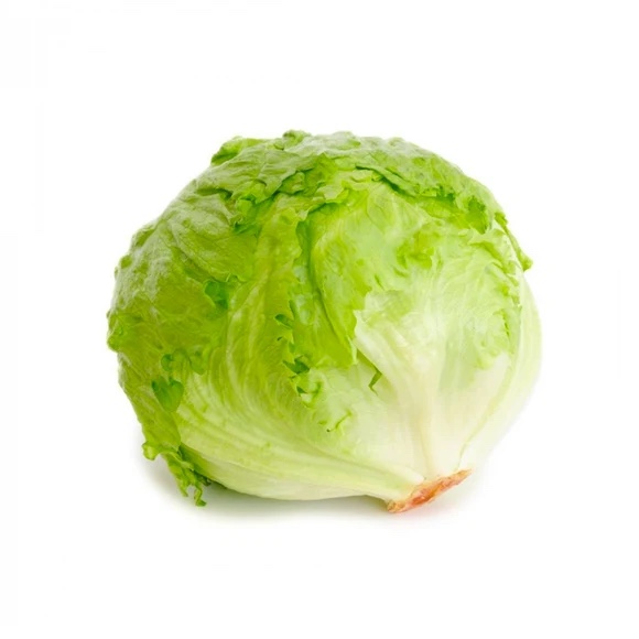 Lechuga romana