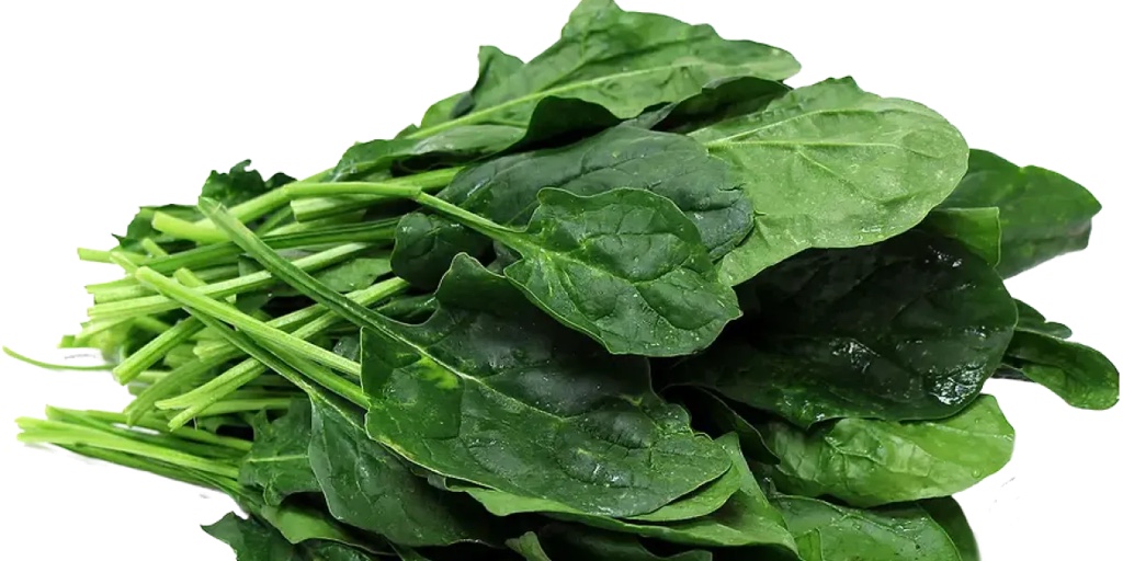 Espinaca