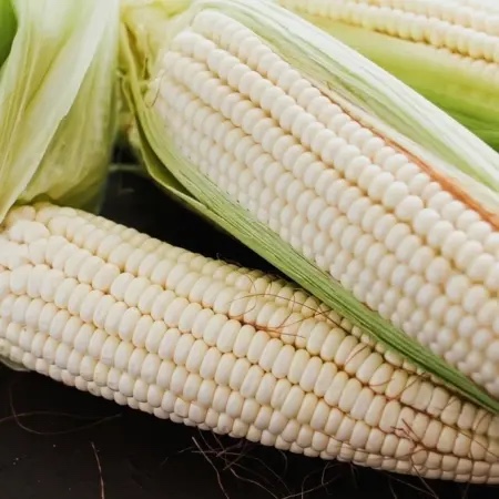 Elote