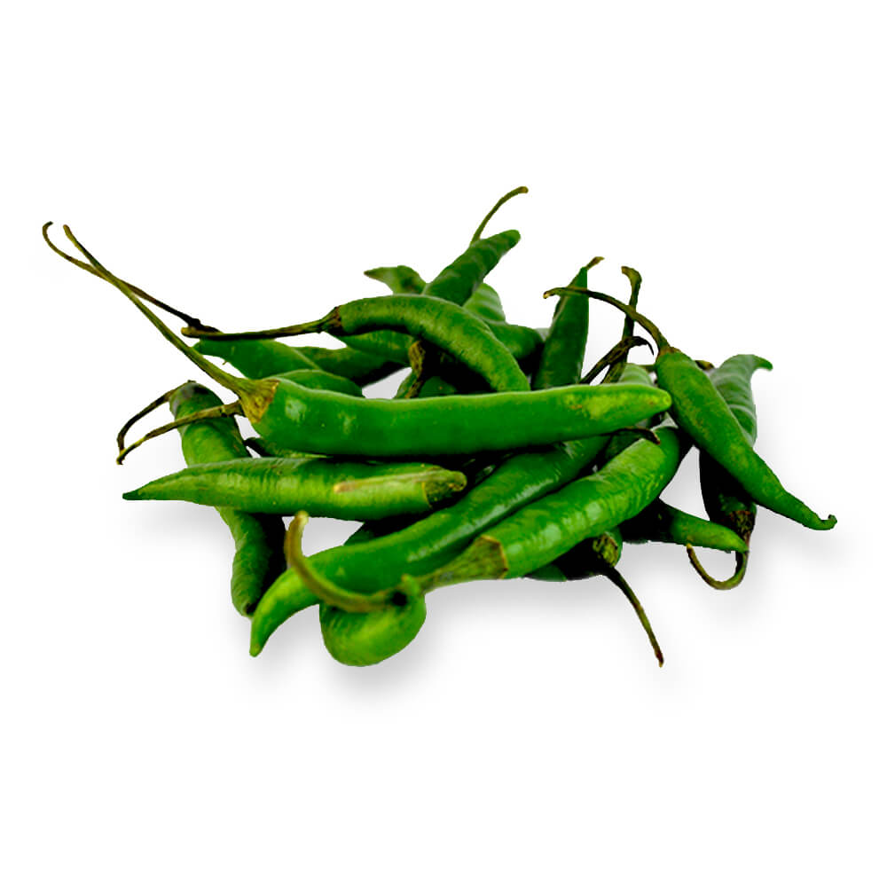Serrano