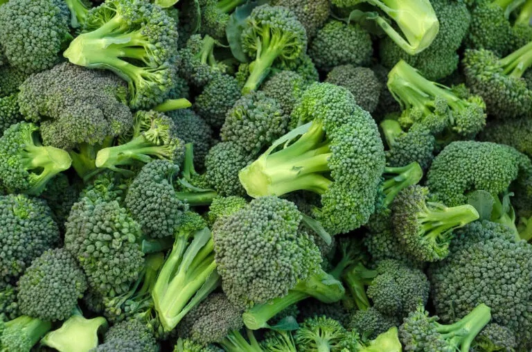 Brócoli